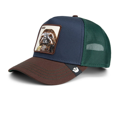 Tricolor Sloth - Multi