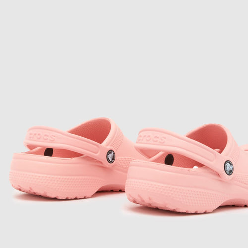 Classic Clog - Powder Pink