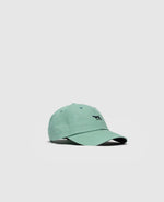 Gunn Cap - Burnt Sage/Navy