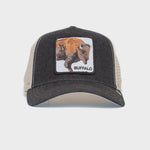 The Buffalo