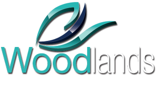 Woodlands Primary Hoodie